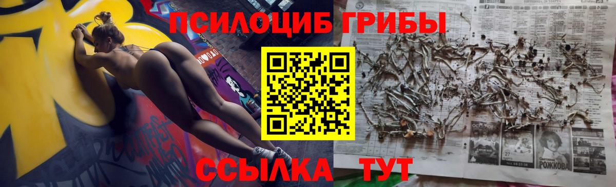 Новокуйбышевск  Галлюциногенные грибы мицелий  Галлюциногенные грибы ЛСД  Вход с VPN 