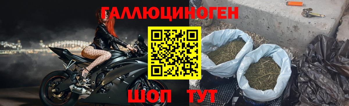 Псилоцибиновые грибы ЛСД Новокуйбышевск