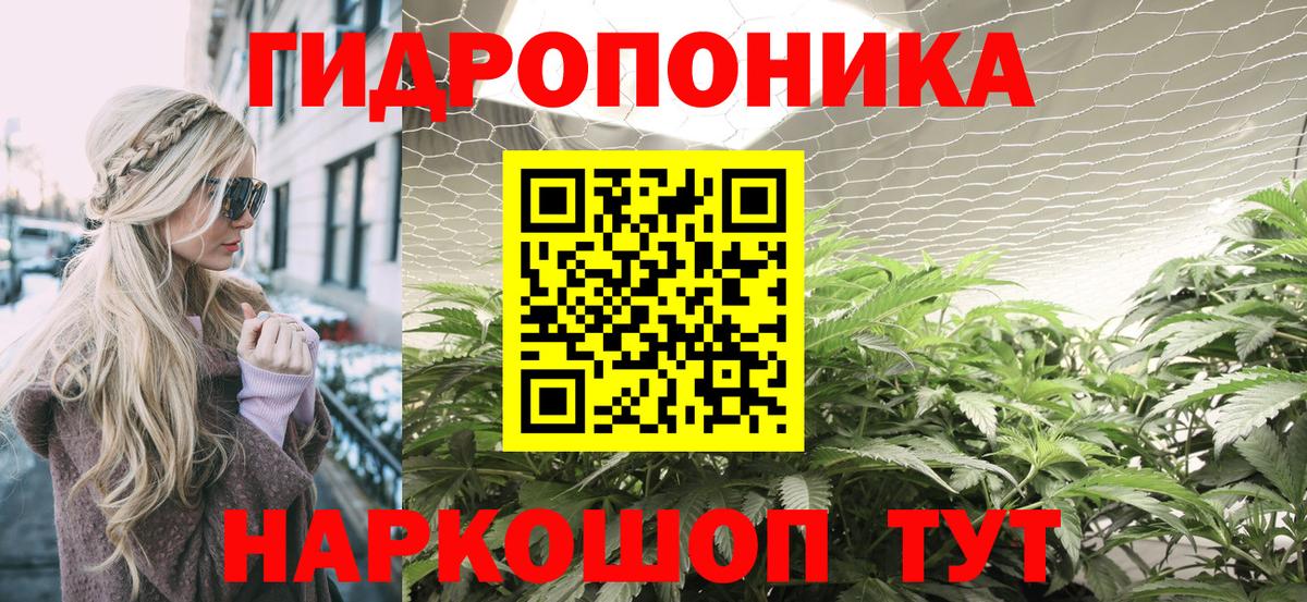 Бошки Шишки SATIVA & INDICA  Канабис OG Kush  МАРИХУАНА ГИДРОПОН  Вход с VPN  Новокуйбышевск 